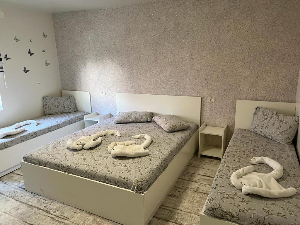 Amalya Hotel Konstanca Kültér fotó